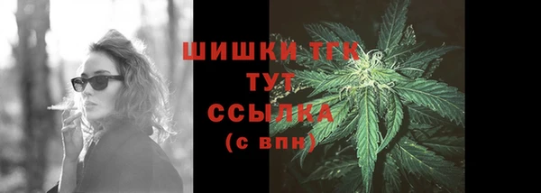 шишки Аркадак