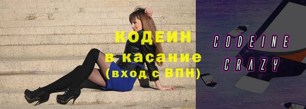 шишки Аркадак